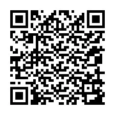 QR-код для номера телефона +12059183900