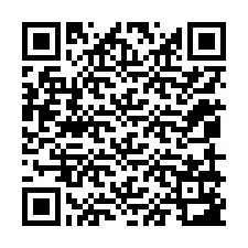 QR Code pour le numéro de téléphone +12059183901