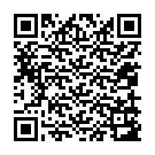 QR Code for Phone number +12059183903