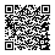 QR-Code für Telefonnummer +12059183903