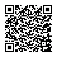 QR-Code für Telefonnummer +12059183904