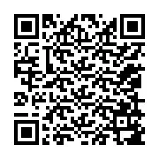 QR Code pour le numéro de téléphone +12059187799