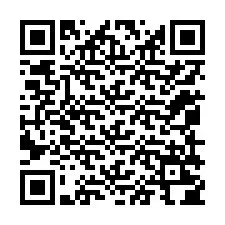 QR-code voor telefoonnummer +12059204621