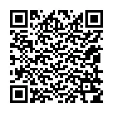 QR-code voor telefoonnummer +12059204625