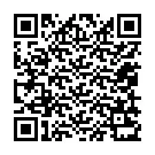 QR kód a telefonszámhoz +12059231537