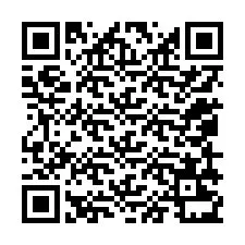 QR-koodi puhelinnumerolle +12059231538