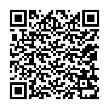 QR-код для номера телефона +12059231539