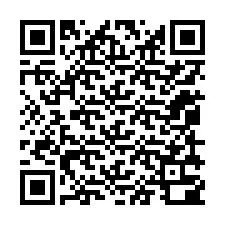 QR kód a telefonszámhoz +12059300165