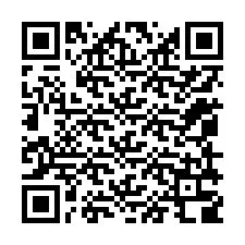 QR-koodi puhelinnumerolle +12059308221