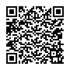 Codice QR per il numero di telefono +12059561646