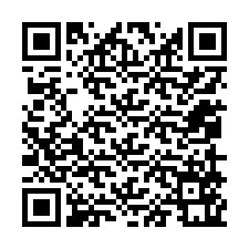 Codice QR per il numero di telefono +12059561647