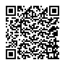 QR-Code für Telefonnummer +12059561648