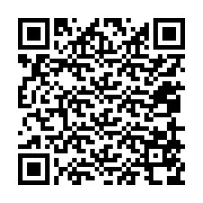 QR-koodi puhelinnumerolle +12059578303