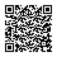 Codice QR per il numero di telefono +12059578304