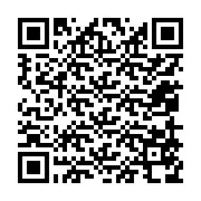 QR-koodi puhelinnumerolle +12059578307