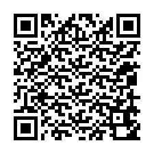 QR-code voor telefoonnummer +12059650154