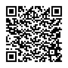 QR-koodi puhelinnumerolle +12059655764