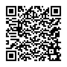 QR-Code für Telefonnummer +12059691595