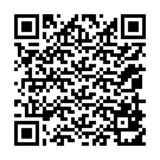 QR-код для номера телефона +12059811741