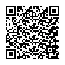 Kod QR dla numeru telefonu +12059873873