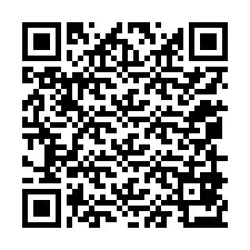 Código QR para número de telefone +12059873874