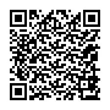 QR-koodi puhelinnumerolle +12059873875