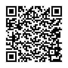 Codice QR per il numero di telefono +12059873876