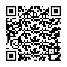 QR-code voor telefoonnummer +12059910928