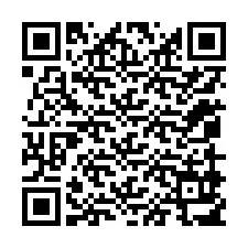 QR-код для номера телефона +12059917441