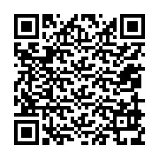 Codice QR per il numero di telefono +12059939907