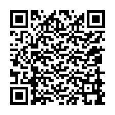 QR kód a telefonszámhoz +12059999048