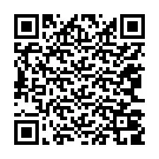 QR-код для номера телефона +12063009132