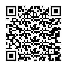 QR-код для номера телефона +12063009205