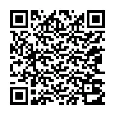 QR-код для номера телефона +12063012998