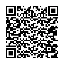 QR-код для номера телефона +12063016493