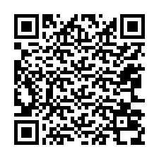 电话号码二维码 +12063038707