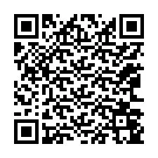 电话号码二维码 +12063045719