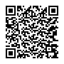 Código QR para número de telefone +12063095834