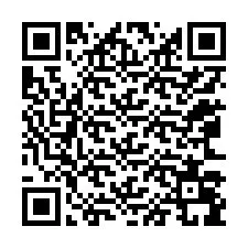 QR-код для номера телефона +12063099518