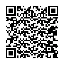 Código QR para número de telefone +12063289317