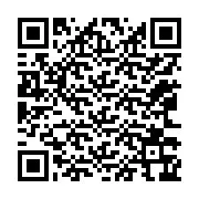 电话号码二维码 +12063366719