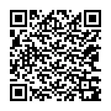 Codice QR per il numero di telefono +12063381029