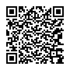 Codice QR per il numero di telefono +12063384870