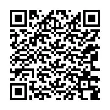 Código QR para número de teléfono +12063388744