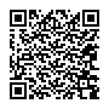 电话号码二维码 +12063388753