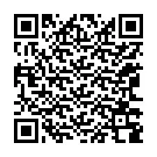 Código QR para número de telefone +12063388754