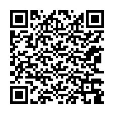 QR kód a telefonszámhoz +12063389895