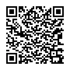 Codice QR per il numero di telefono +12063391040