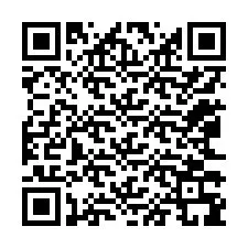 QR-Code für Telefonnummer +12063399399