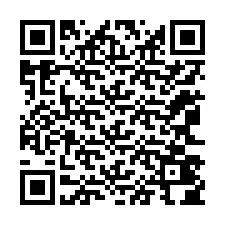 电话号码二维码 +12063404371